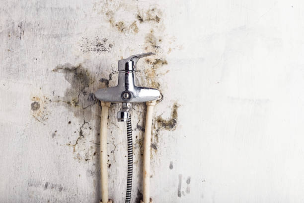 Best Mold Remediation  in Medina, TX