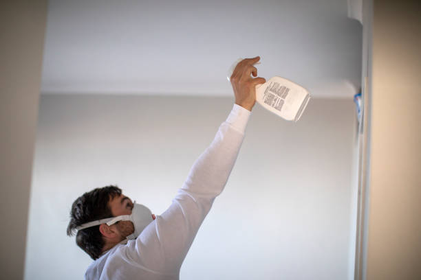 Mold Testing and Removal in Medina, TX