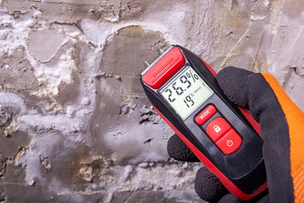 Best Professional Mold Removal  in Medina, TX