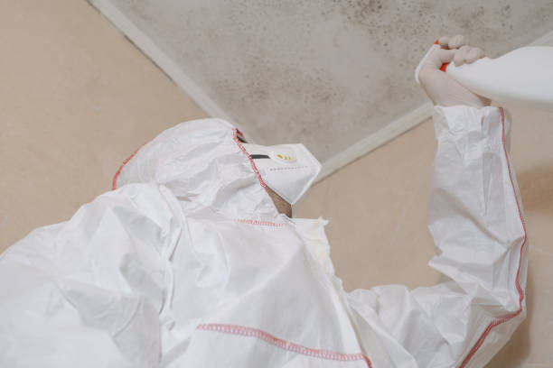 Best Home Mold Removal  in Medina, TX