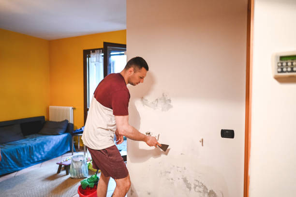 Best Emergency Mold Removal  in Medina, TX